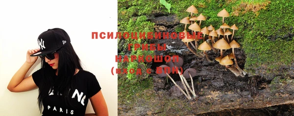 сатива Бугульма